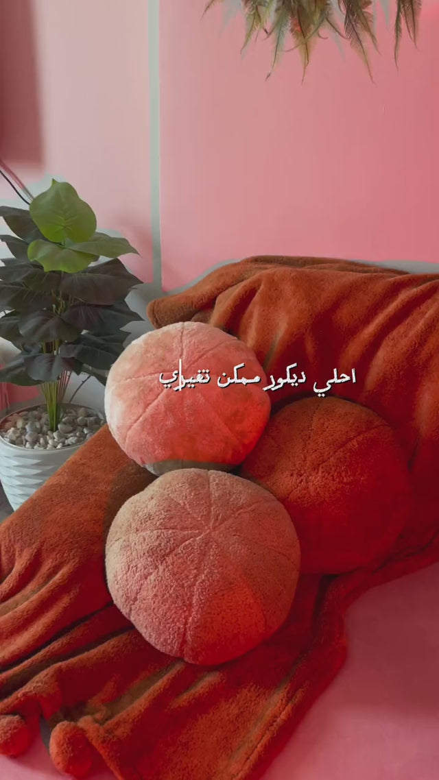دعاء .ن